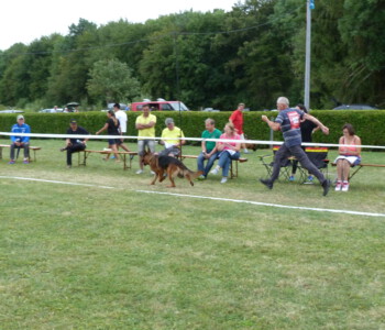 Foto: Stefan Lehnert