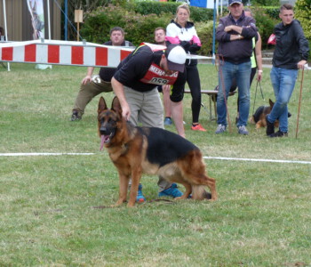 Foto: Stefan Lehnert