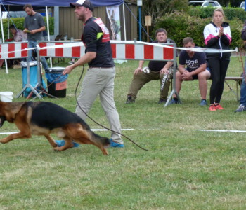 Foto: Stefan Lehnert