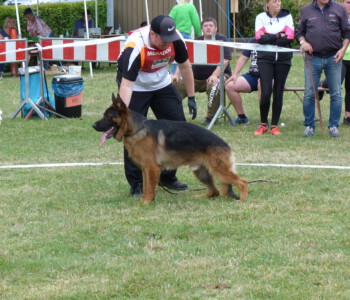 Foto: Stefan Lehnert