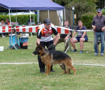 Foto: Stefan Lehnert