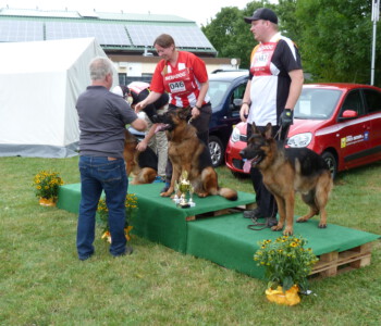 Foto: Stefan Lehnert