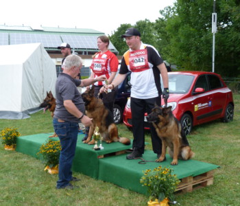 Foto: Stefan Lehnert