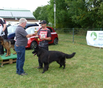 Foto: Stefan Lehnert