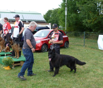 rechts SG 1 Marcello v. Legends Team