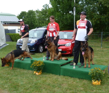 Foto: Stefan Lehnert