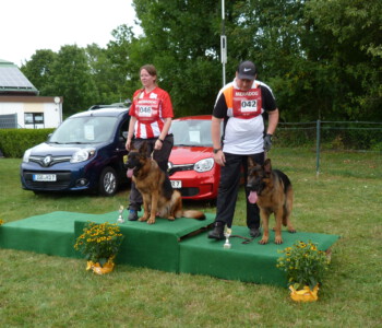 Foto: Stefan Lehnert