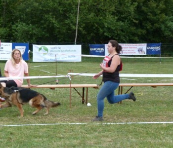 Foto: Stefan Lehnert