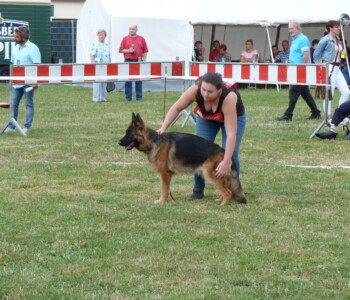 Foto: Stefan Lehnert