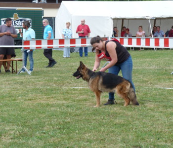 Foto: Stefan Lehnert