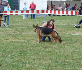 Foto: Stefan Lehnert