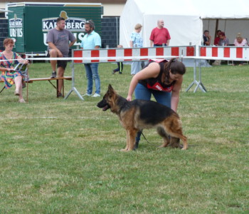 Foto: Stefan Lehnert