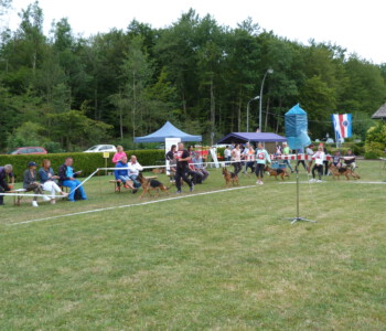 Foto: Stefan Lehnert