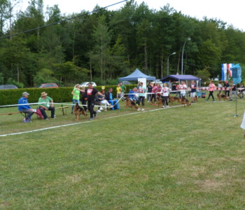 Foto: Stefan Lehnert