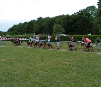 Foto: Stefan Lehnert