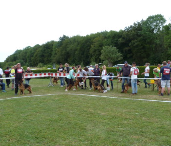 Foto: Stefan Lehnert