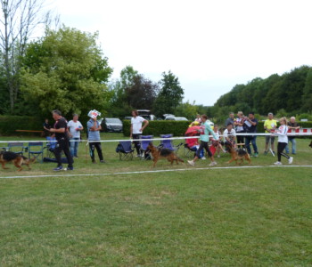 Foto: Stefan Lehnert