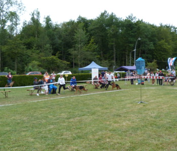 Foto: Stefan Lehnert