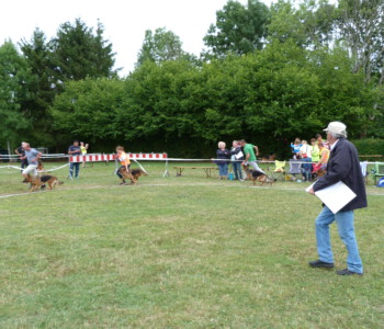 Foto: Stefan Lehnert