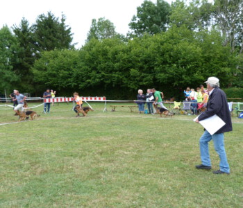 Foto: Stefan Lehnert