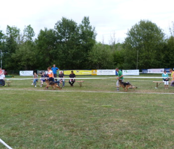 Foto: Stefan Lehnert