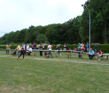 Foto: Stefan Lehnert