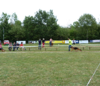 Foto: Stefan Lehnert