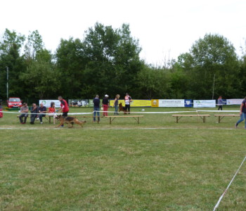 Foto: Stefan Lehnert