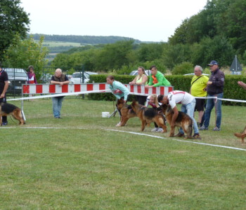 Foto: Stefan Lehnert