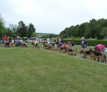 Foto: Stefan Lehnert