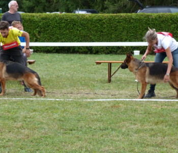 Foto: Stefan Lehnert