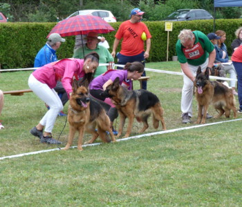 Foto: Stefan Lehnert