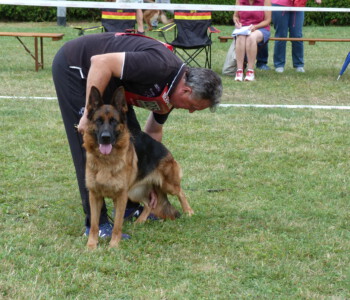 Foto: Stefan Lehnert