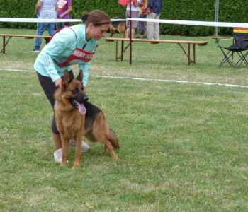 Foto: Stefan Lehnert