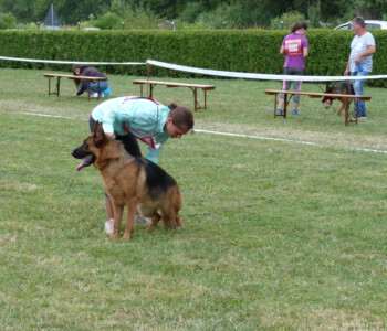 Foto: Stefan Lehnert