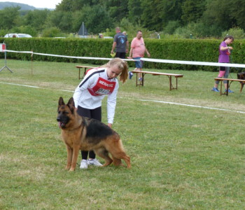 Foto: Stefan Lehnert