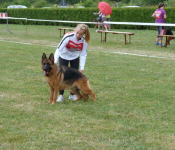 Foto: Stefan Lehnert