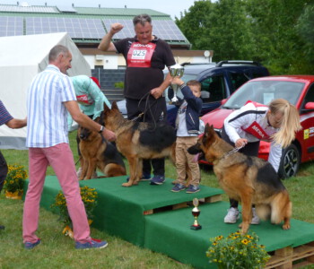 Foto: Stefan Lehnert