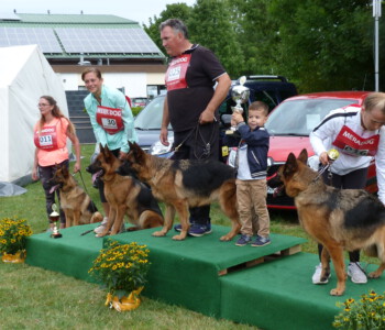 Foto: Stefan Lehnert