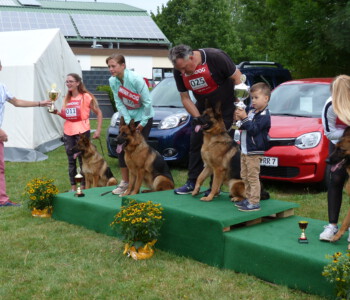 von links nach rechts V 14 Franka vom Haus Biewer, V 2 Nera du Val D'Anzin, V 1 Princess dei Murolo, V 3 Werao da Terra da Garoa