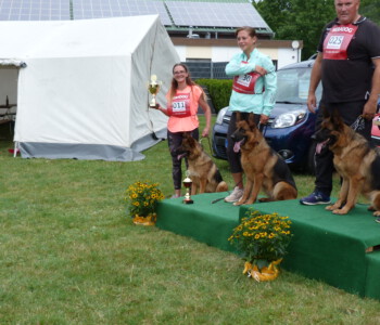 Foto: Stefan Lehnert