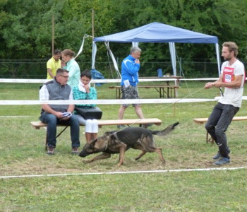 Foto: Stefan Lehnert