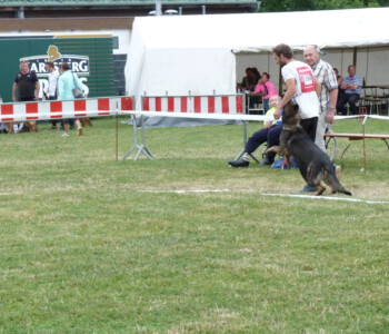 Foto: Stefan Lehnert