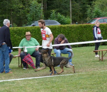 Foto: Stefan Lehnert