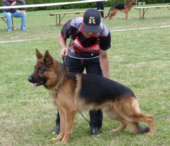 Foto: Stefan Lehnert