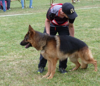 Foto: Stefan Lehnert