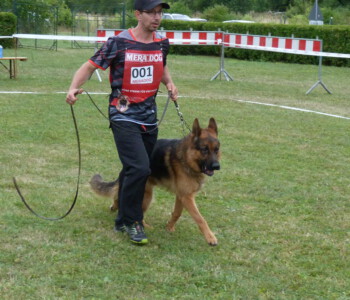 Foto: Stefan Lehnert