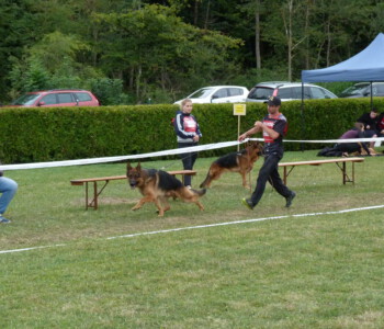 Foto: Stefan Lehnert