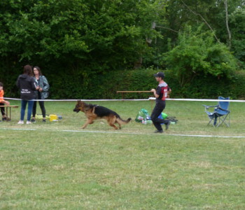 Foto: Stefan Lehnert