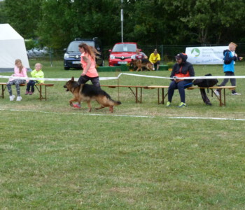 Foto: Stefan Lehnert